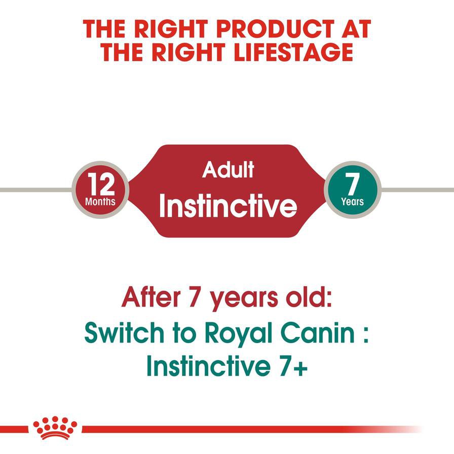 Royal Canin Feline Health Nutrition Instinctive Wet Cat Food (Chunks in Gravy, Adult Cats, 85 g)