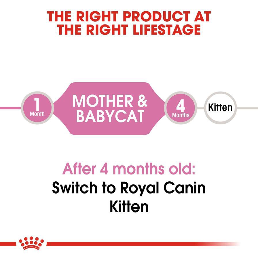 Royal Canin Mother & Babycat Dry Cat Food (Adult Cats/Kittens, 400 g)