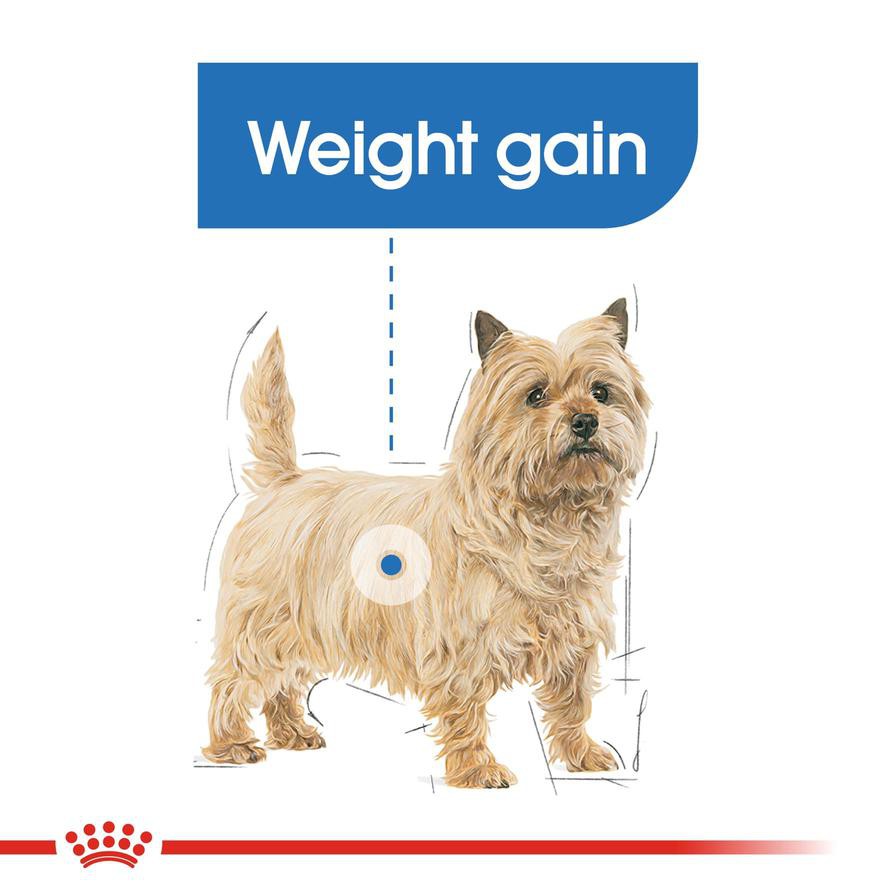 Royal Canin Canine Care Nutrition Light Weight Care Dry Dog Food (Mini Adult Dogs, 3 kg)