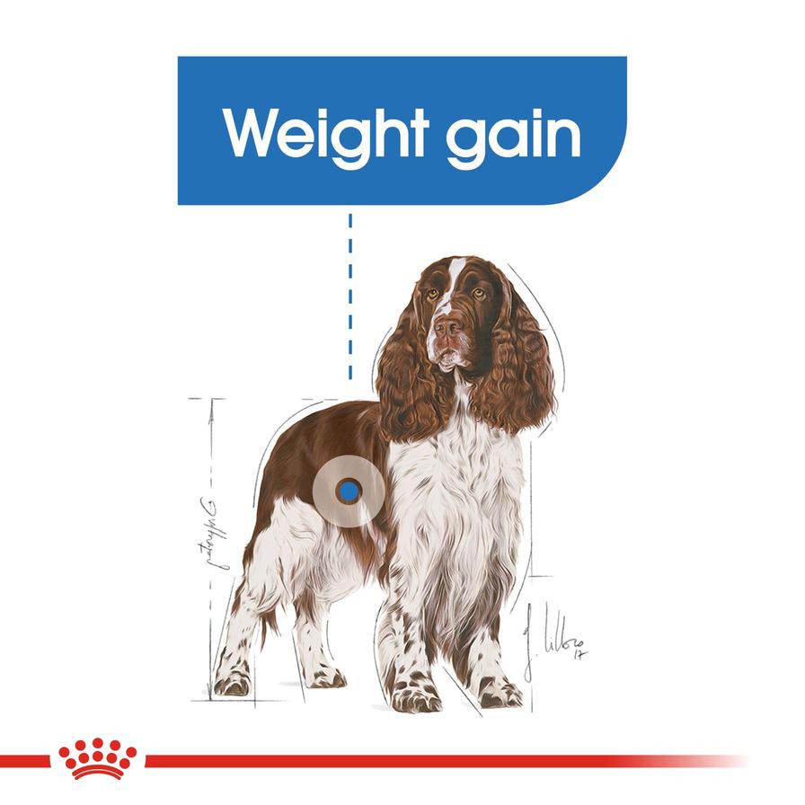 Royal Canin Light Weight Care Dry Dog Food (Medium Dog, 3 kg)