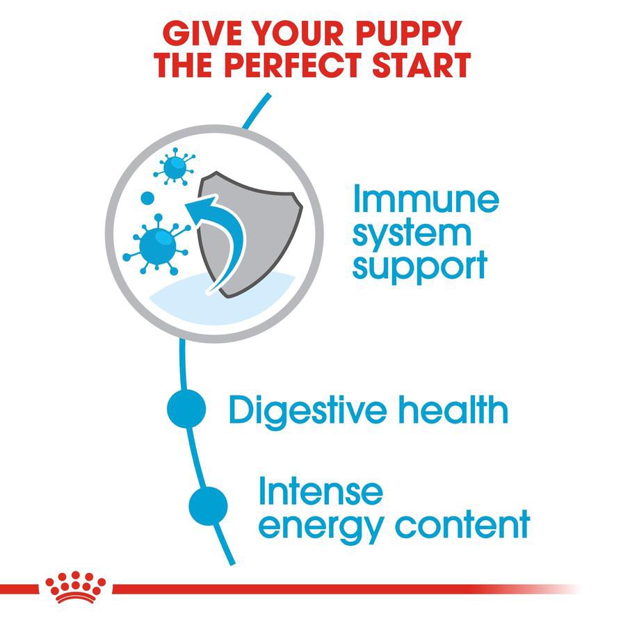 Royal Canin Size Health Nutrition Mini Puppy Dry Dog Food (Puppy, 10 kg)