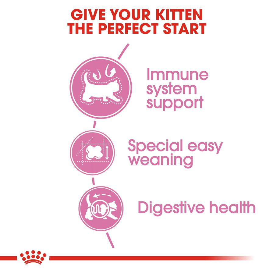 Royal Canin Feline Health Mother and Baby Cat Food (2 kg)