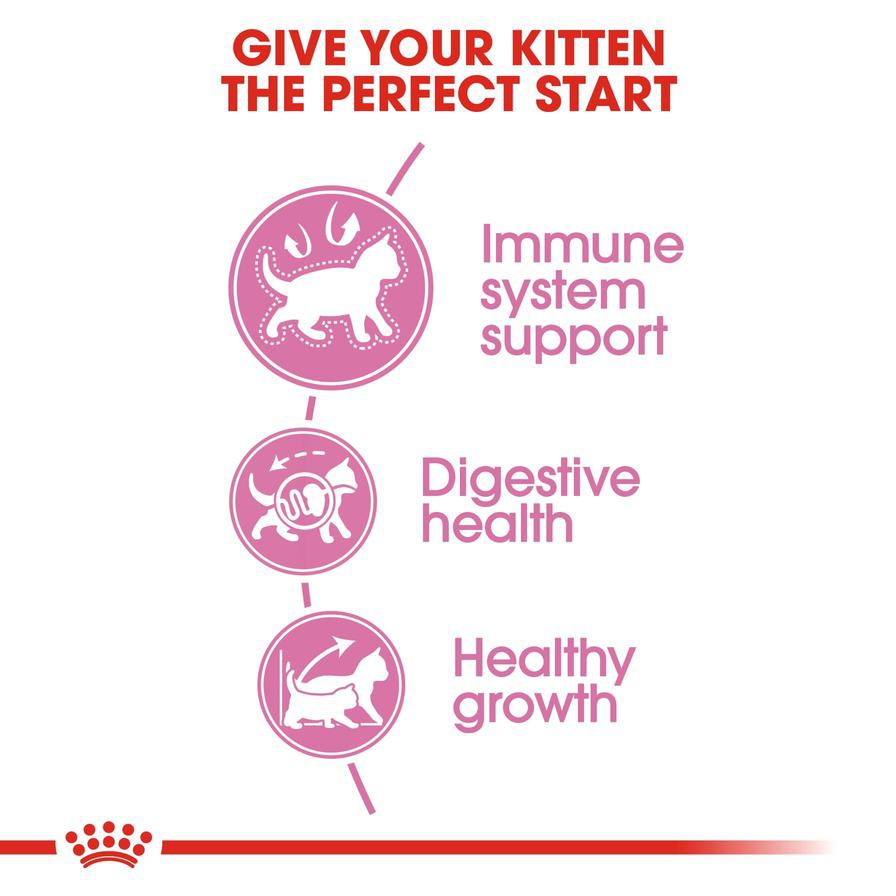 Royal Canin Feline Health Nutrition Digestive Health Cat Food (Kittens, 2 kg)