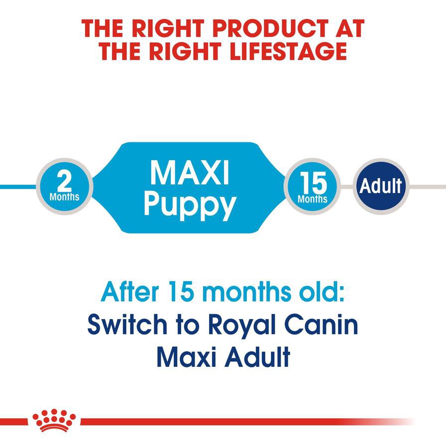 Royal Canin Nutrition Maxi Junior (4 kg)