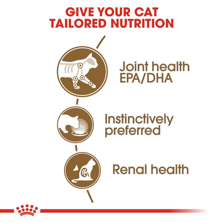 Royal Canin Feline Health Nutrition Ageing +12 Wet Cat Food (Chunks in Gravy, Adult Cats, 85 g)