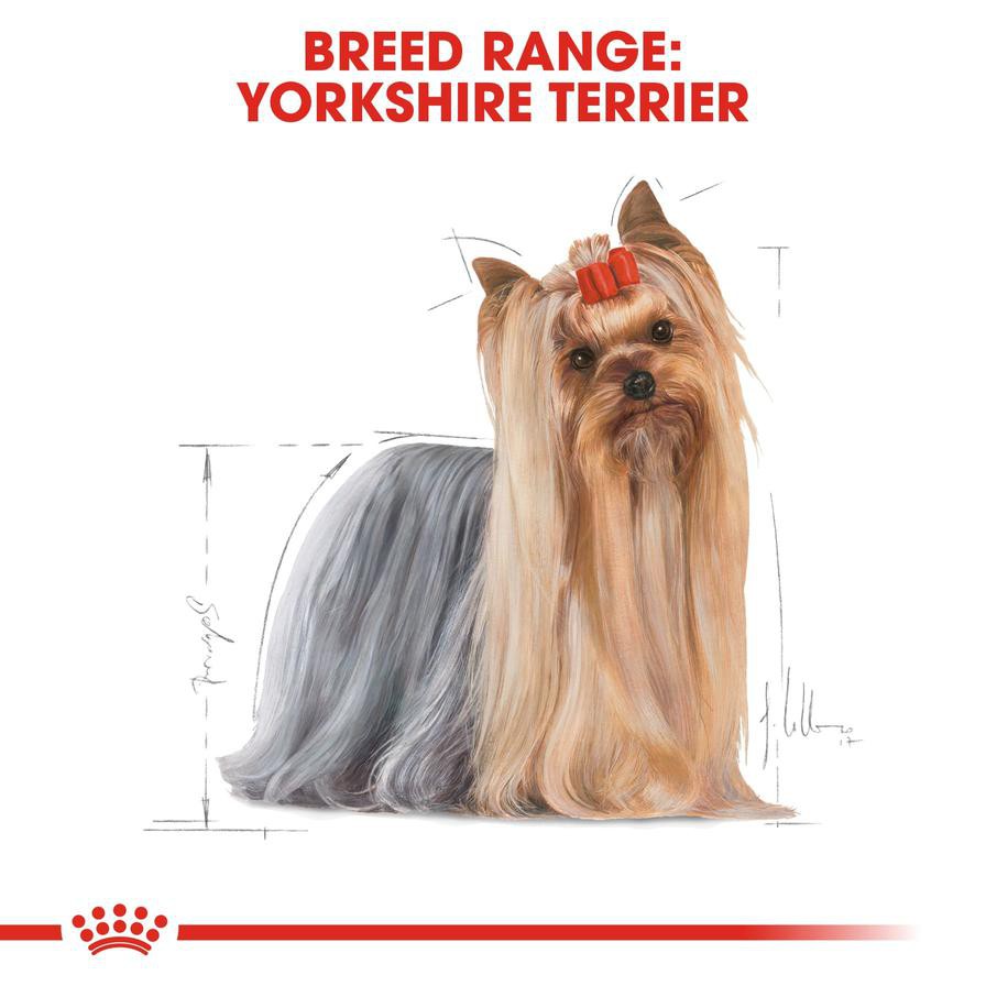 Royal Canin Breed Health Nutrition Adult Dog Food (1.5 kg)