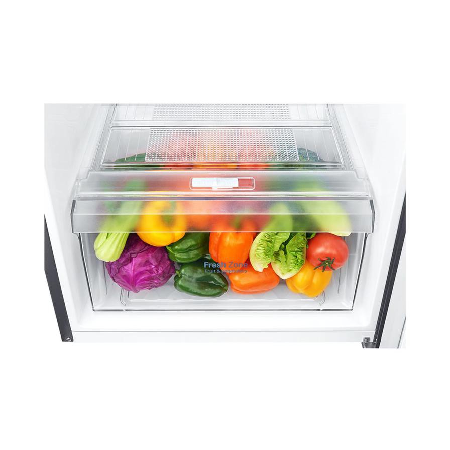 LG Top Mount Refrigerator, GNB402SLCB (335 L)