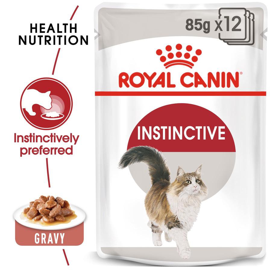 Royal Canin Feline Health Nutrition Instinctive Wet Cat Food (Chunks in Gravy, Adult Cats, 85 g)