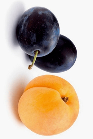 Apricot & Plums