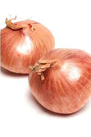 Onion & Shalots