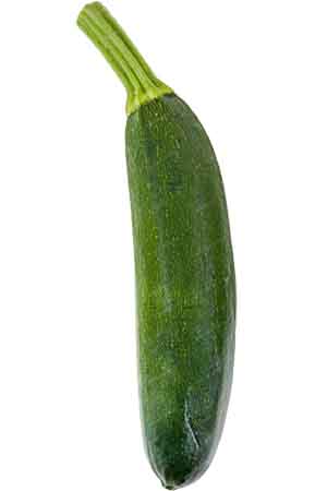 Zucchini