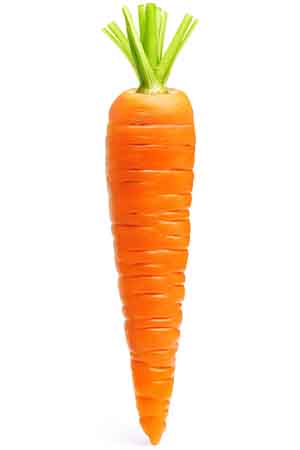 Carrot