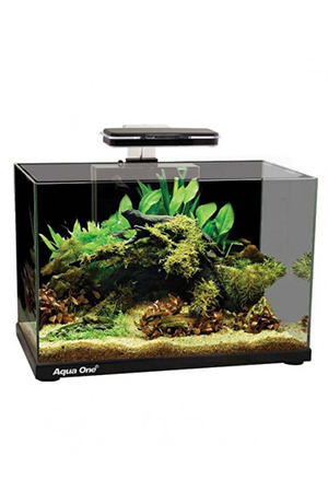 Fish Tanks