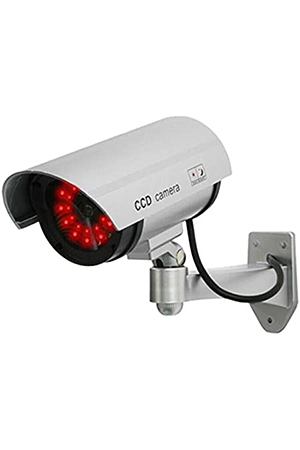 Monitoring Cameras