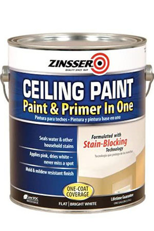 Exterior Paint