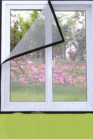 Window Screens