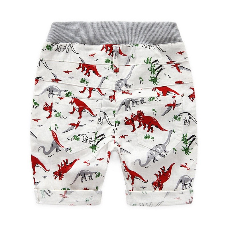 Children's Summer Loose Shorts Dinosaur Beachwear Personality Sports Socks 2-7 Years