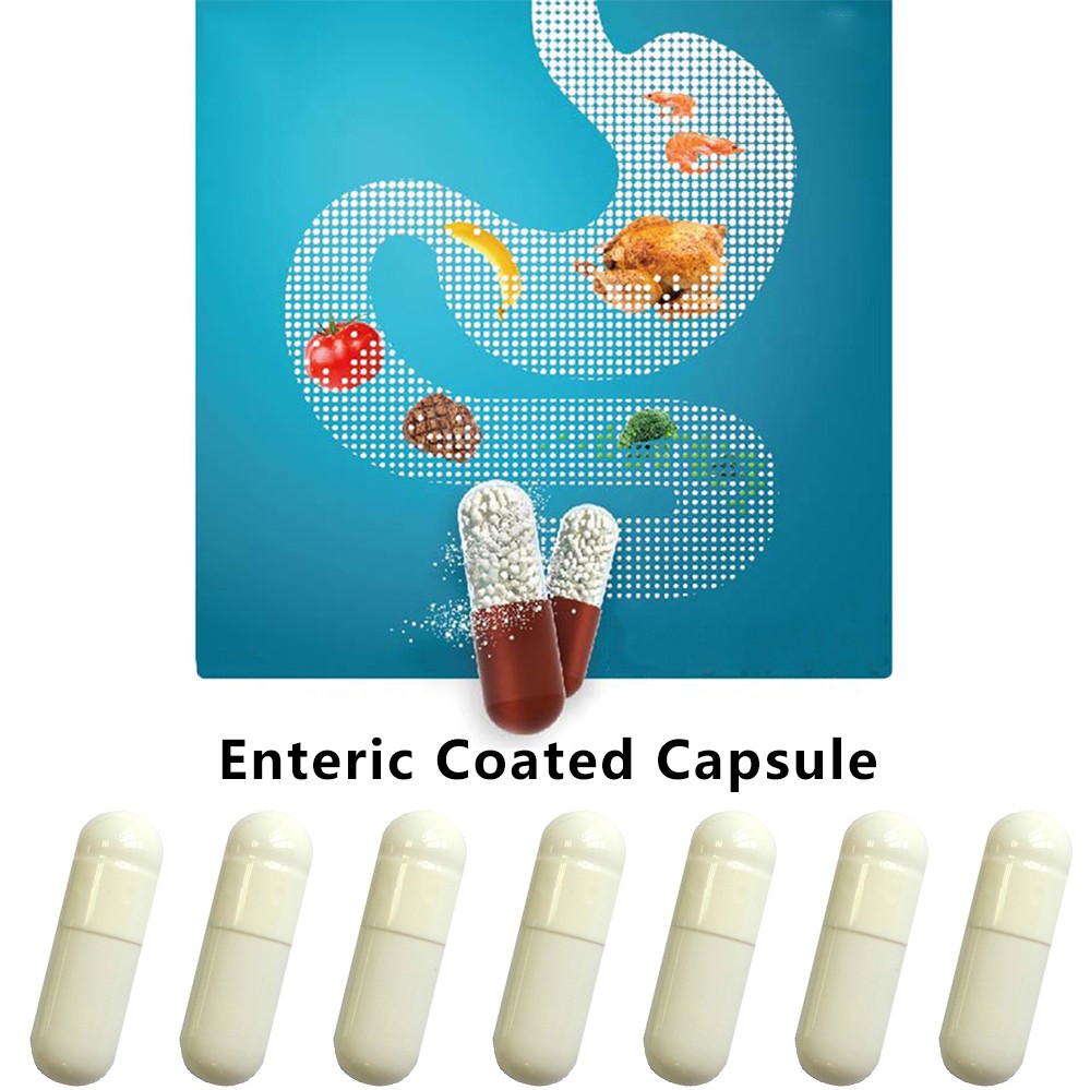 Enteric Coated Capsule 1# Enteric Empty Hard Gelatin Capsule Gel Medicine Pill Hollow Hard Gelatin Joined Capsules