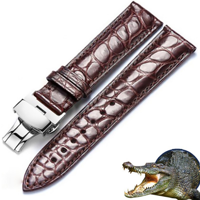 Real Crocodile Watch Strap Genuine Leather Watch Strap for Men or Women Watch Accessories 12 - 24mm