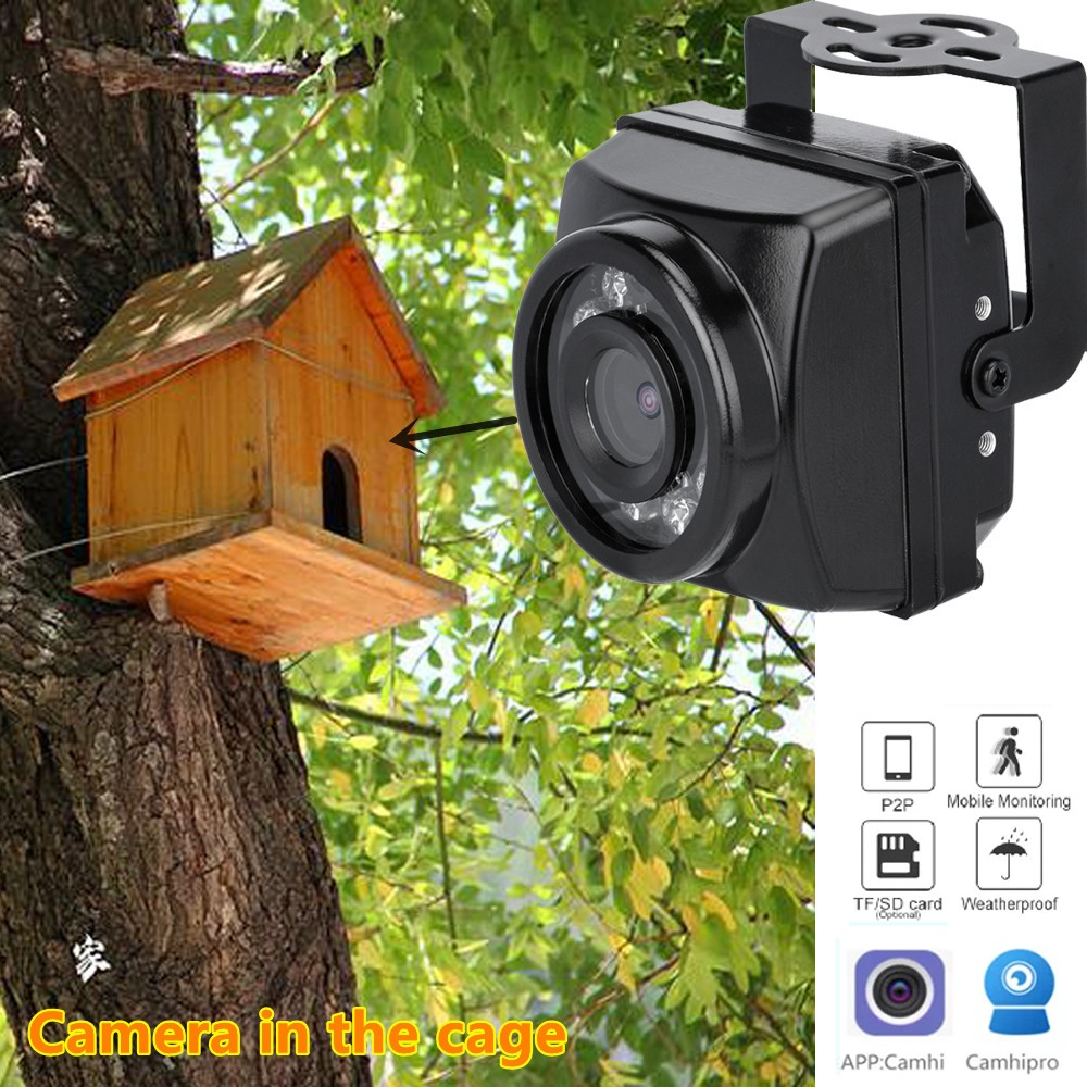 Mini Outdoor Mini Infrared IP POE Cameras Night Vision IPC Wide Angle Audio Video Security Surveillance Camera P2P Onvif Bird Cage