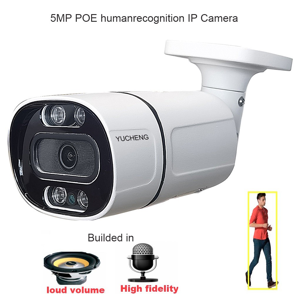 P6SLite POE 5MP Human Recognition PTZ Camera IP Security IP Camera Mic Speaker onvif P2P Outdoor