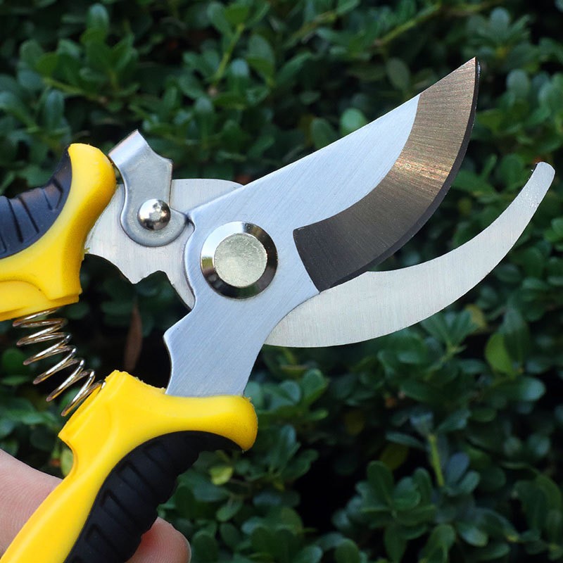 Plant Pruning Gardening Pruner Cut Dryer Garden Shrub Scissors Tool Branch Shear Orchard Pruning Scissors