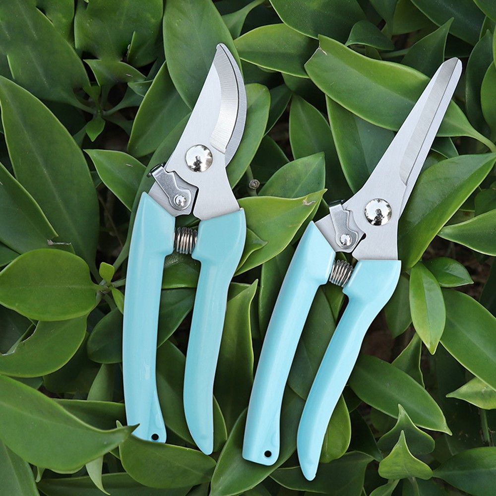 Durable Garden Pruning Shears Fruit Collection Shear Fruit Branch Shears Orchard Hand Tools Bonsai Sharp Shears Gardening Shears