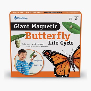 Learning Resources Magnetic Butterfly Life Cycle