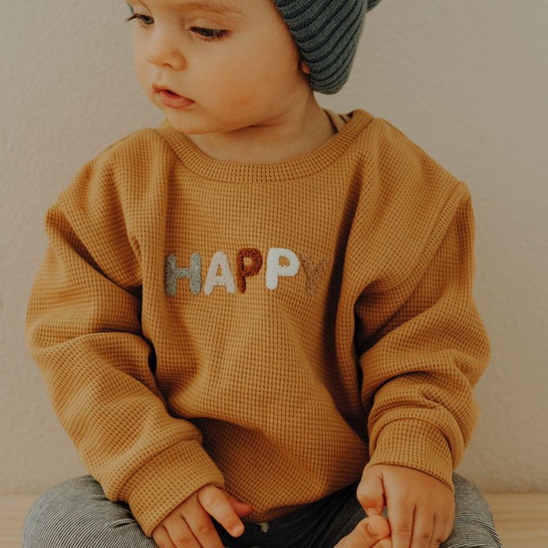 Spring Autumn Baby Sweatshirt Suit Baby Girl Boy Cotton Set Embroidered Letters Kids Pajamas Suit Newborn Baby Boy Girl Outfits