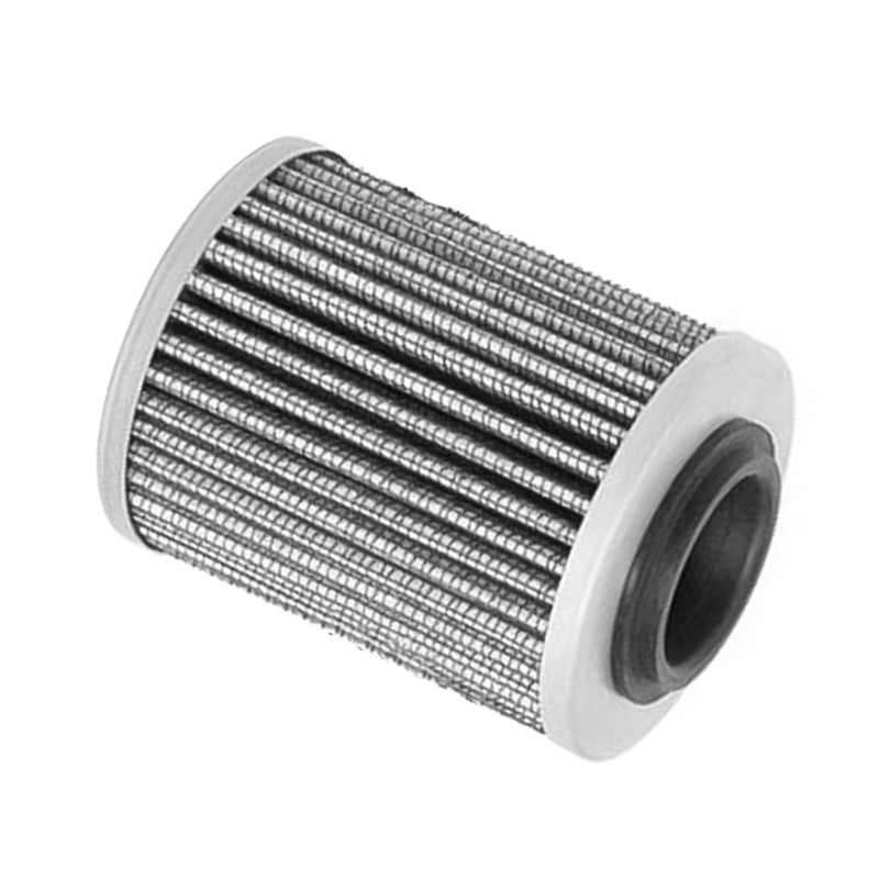 420956124 FUEL FILTER FOR BADR 600ACE/BRP900ACE/BRP1200