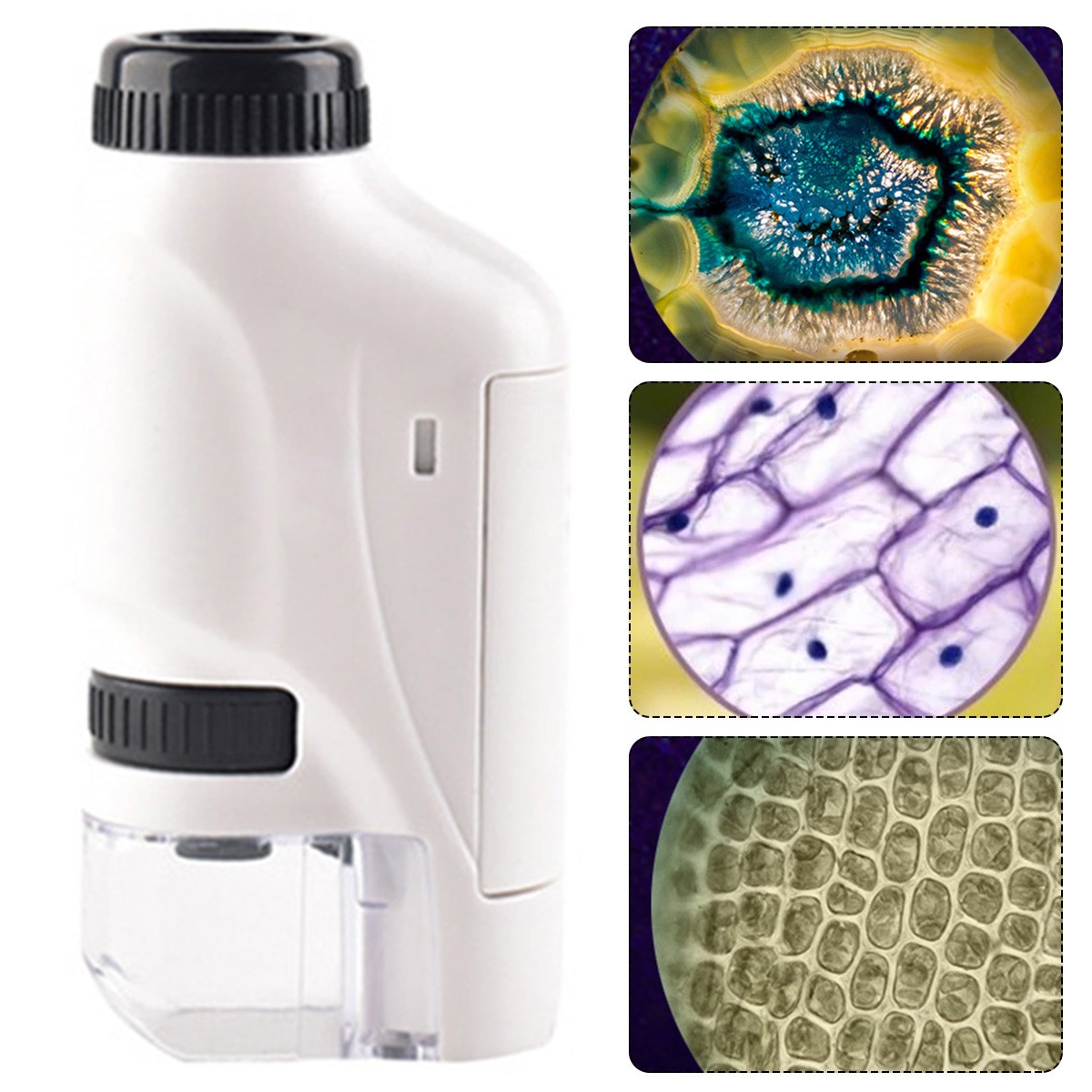 Handheld Microscope Kit 60-120x Pocket Microscope Battery Powered Handheld Mini Microscope With LED Light Portable Microscope