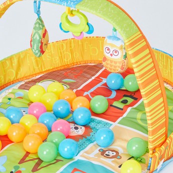 Juniors 2-in-1 Ball Pool and Playgym