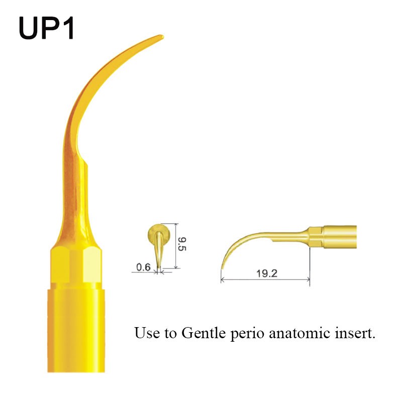 Vvteeth PiezoSurgery Tips for Mectron Woodpecker Dmetec NSK Orthopedic Cut Sinus Lift Dental Implant Handpiece Piezo Surgery