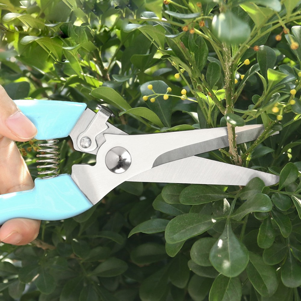 Durable Garden Pruning Shears Fruit Collection Shear Fruit Branch Shears Orchard Hand Tools Bonsai Sharp Shears Gardening Shears