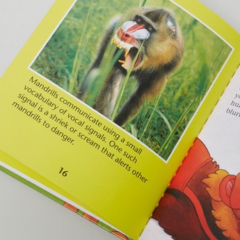 Monkey Business Hardback Book