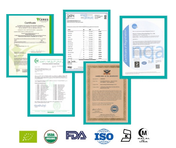 صيغة نباتية طبيعية Artemisia annua استخراج 100 قبعات/زجاجة artemisinin تحسين المناعة