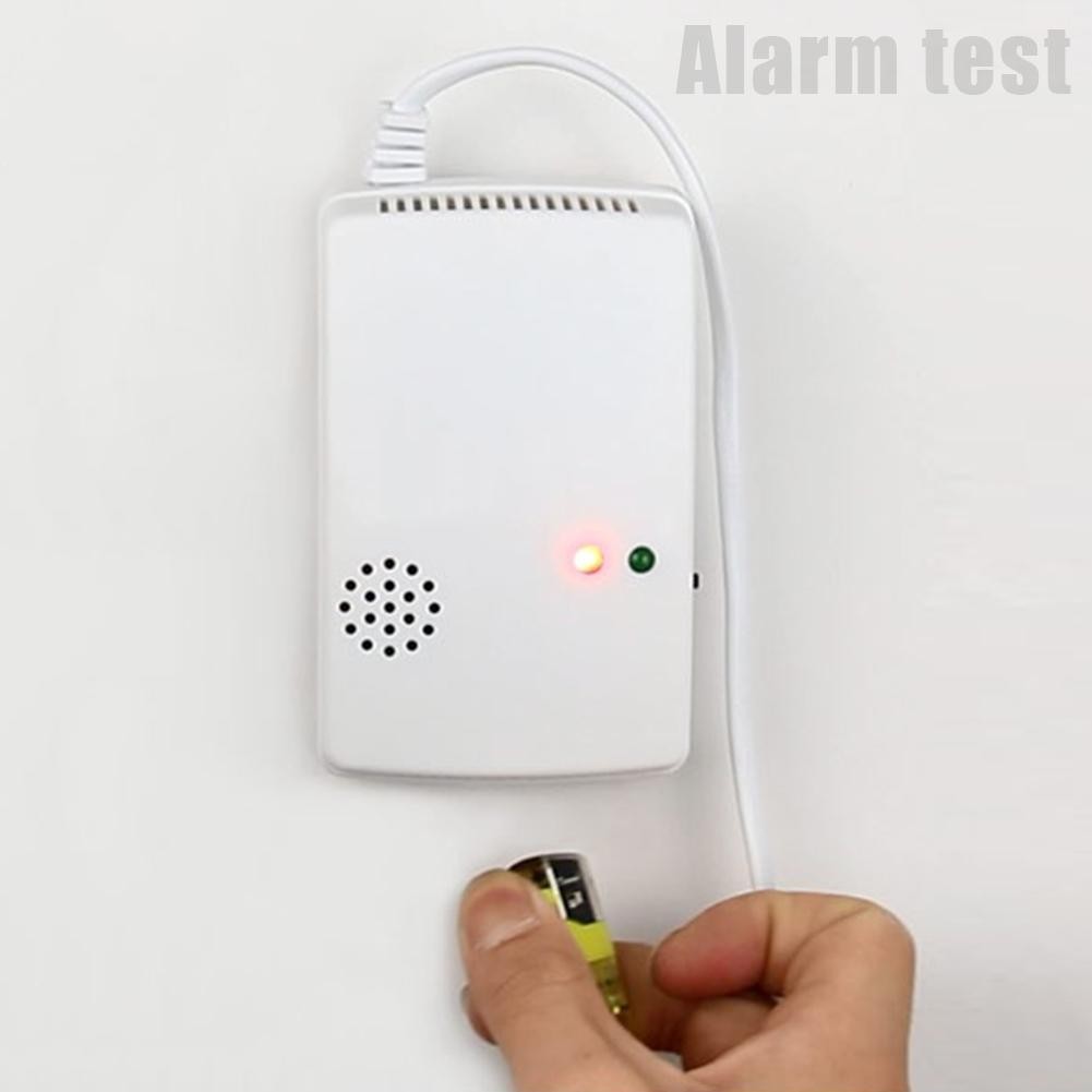 AT-300 Gas Leak Detector Combustion Propane Butane 220V 50Hz Natural Gas Sensitive Alarm Detector Home Security Sensitive Detector