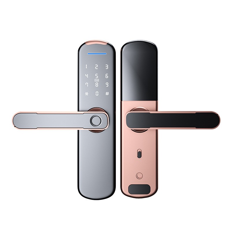 2022 Smart Tuya APP WIFI Phone Remote Control Electric Fingerprint Lock Password Code Number IC Card Door Lock With Key