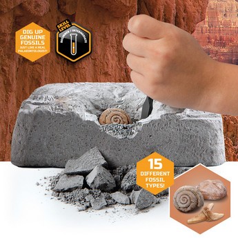 Discovery Mind Blown 15-Piece Colossal Fossil Dig Excavation Playset