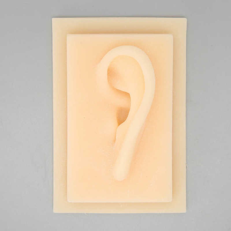 Silicone Ear Fake Ear Glossy Texture for Teaching Demonstration