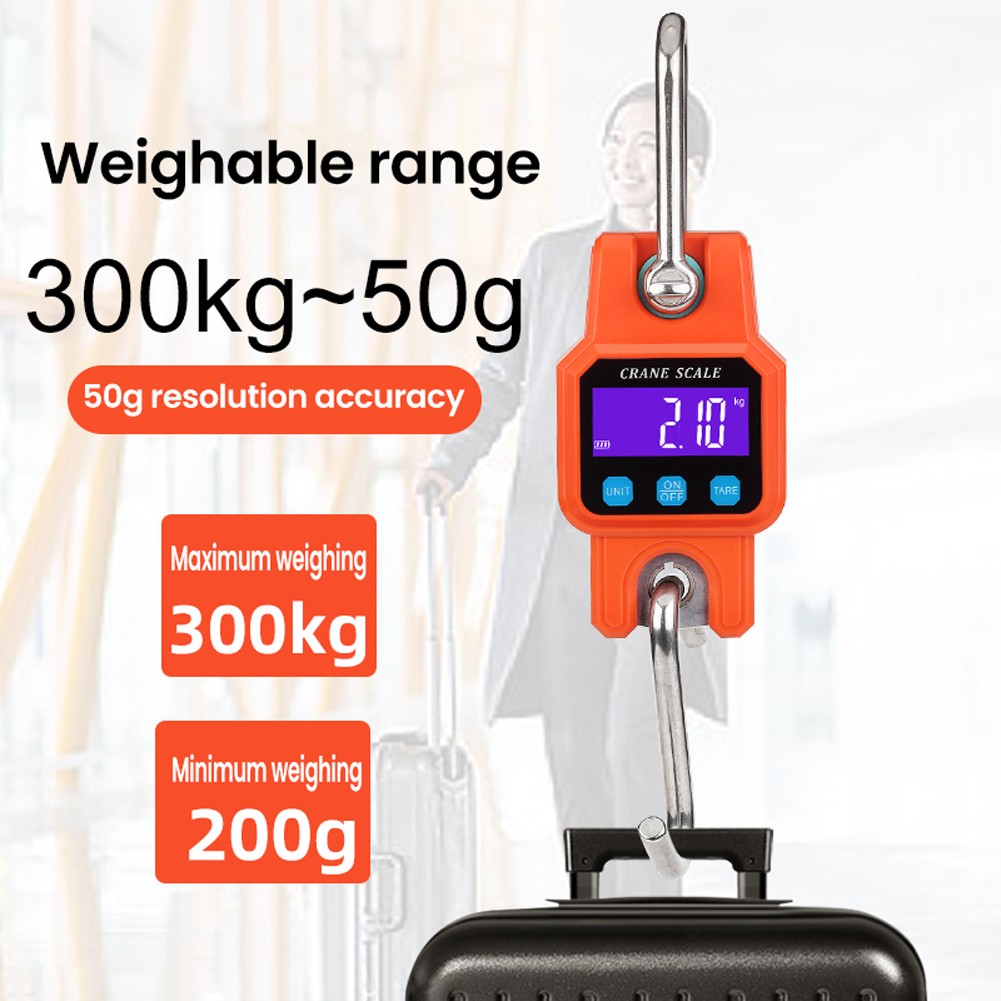 WeiHeng 300kg/50g Electronic Fishing Scale Rechargeable Mini Lifting Scale LCD Industrial Electronic Hook Scale With Backlight