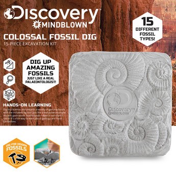 Discovery Mind Blown 15-Piece Colossal Fossil Dig Excavation Playset