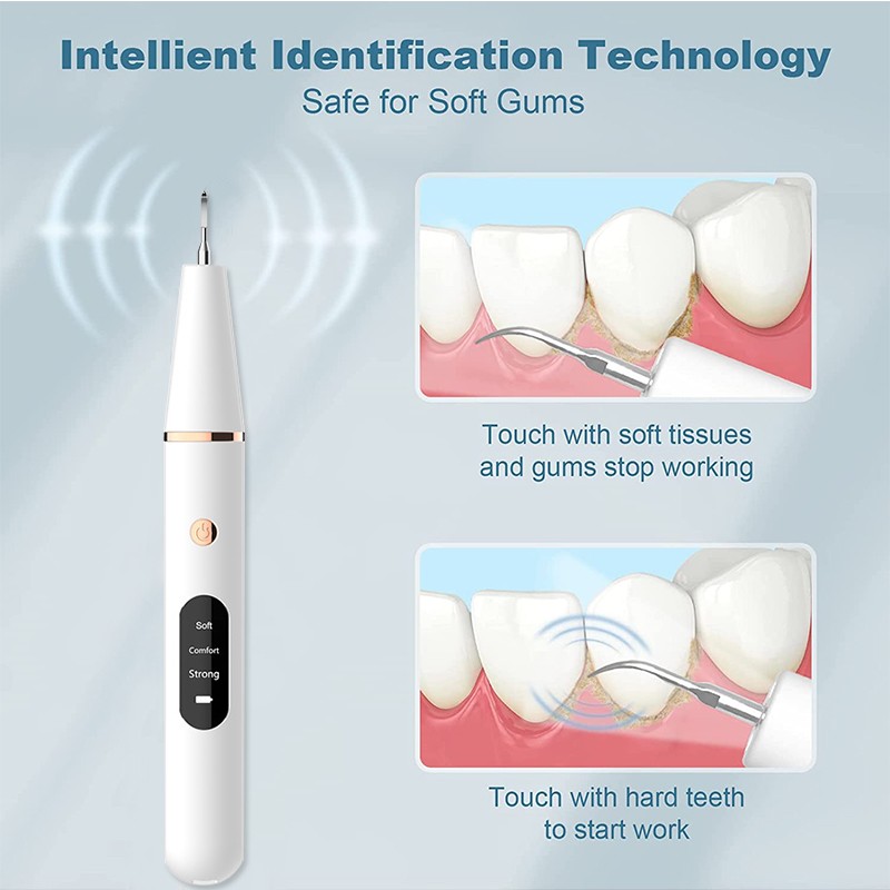 Dental Ultrasonic Calculus Scaler Dental Electric Tartar Calculus Plaque Stain Remover Dental Stone Removal With Led