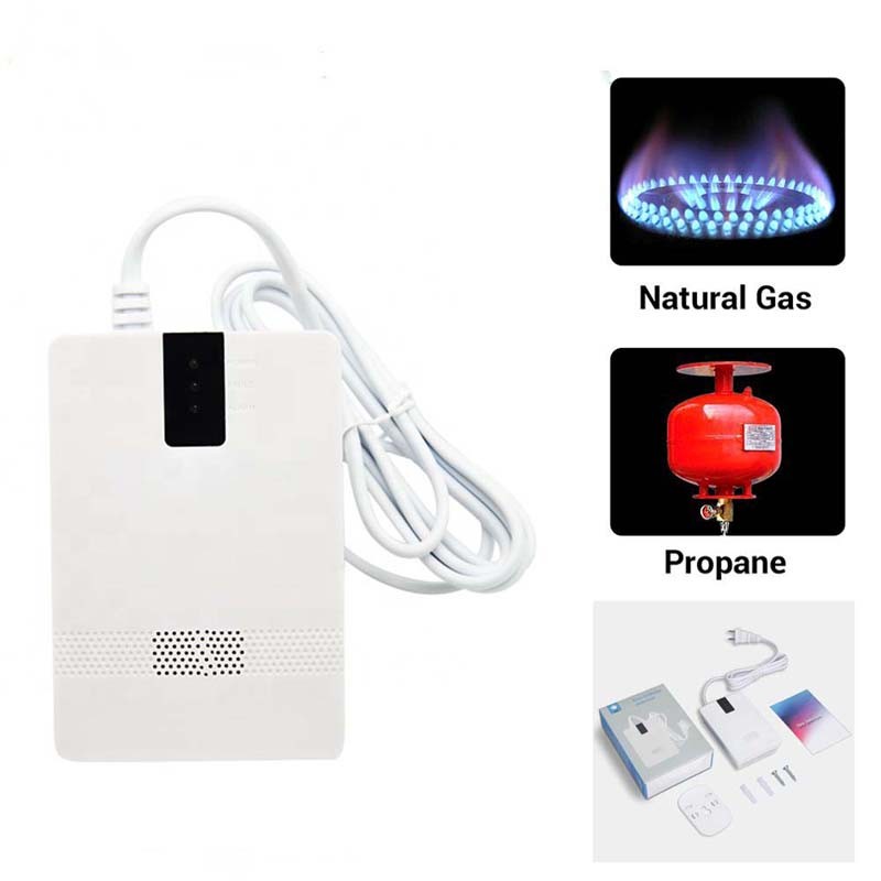 EU Plug Combustible Natural Gas Detector LPG CH4 Propane Gas Leak Sensor Kitchen Fire Alarm Security Auto Detection AC 220V Failure