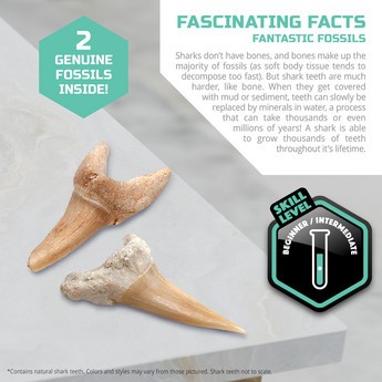 مجموعة أدوات حفر صغيرة لأسنان القرش من ديسكفري