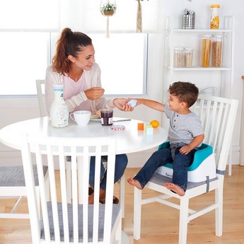 Ingenuity Toddler Booster Seat