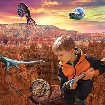 Discovery Mind Blown 15-Piece Colossal Fossil Dig Excavation Playset