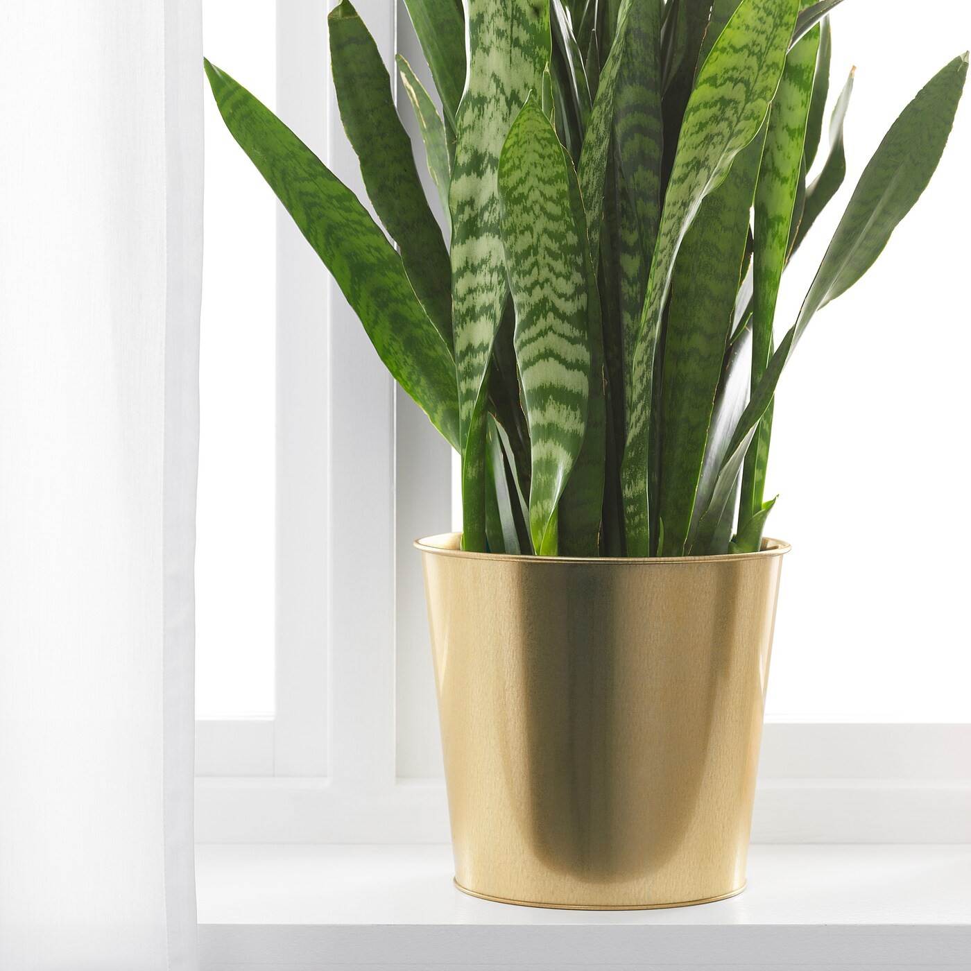 DAIDAI Plant pot