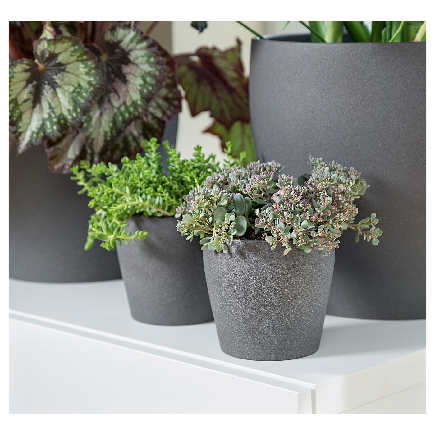 PERSILLADE Plant pot