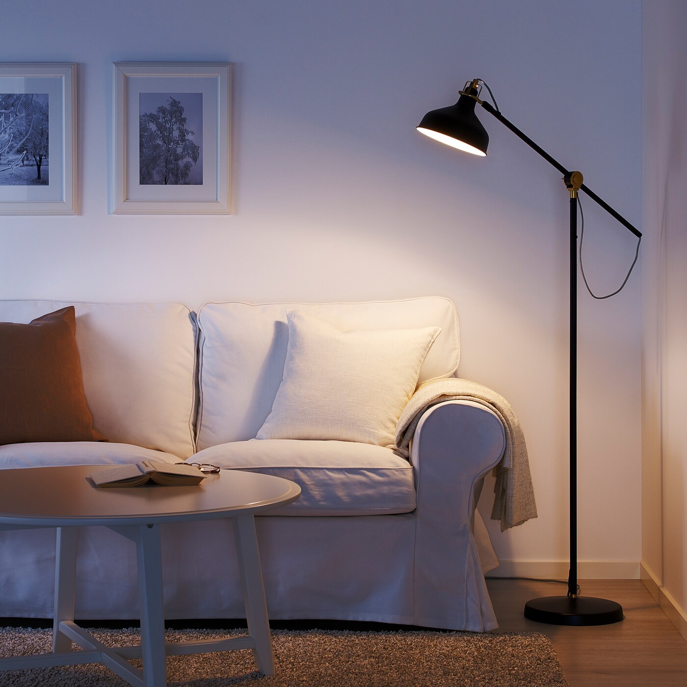 RANARP Floor/reading lamp